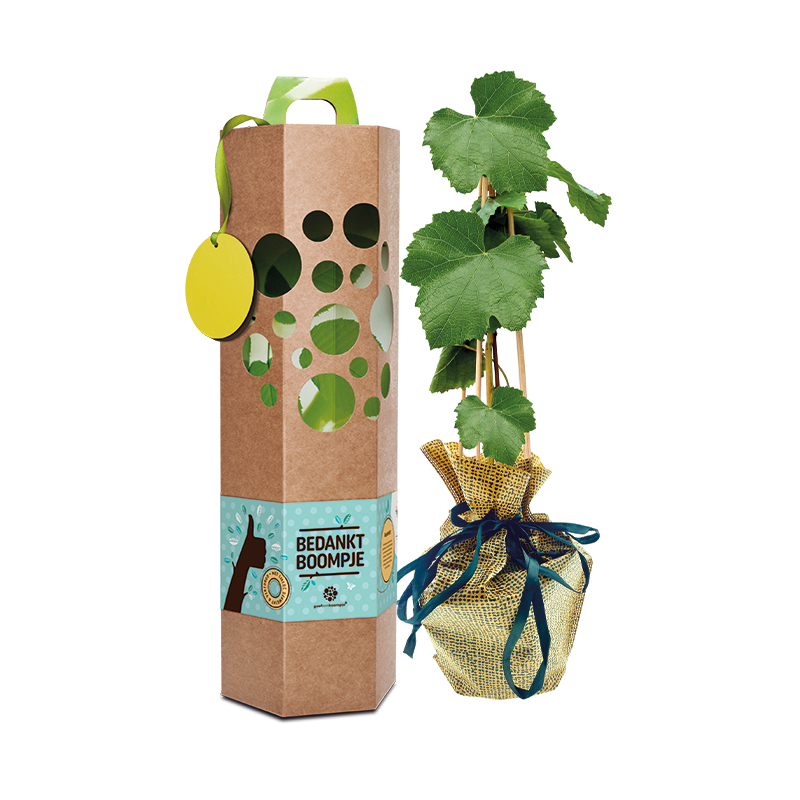 Geef een boompje cadeau