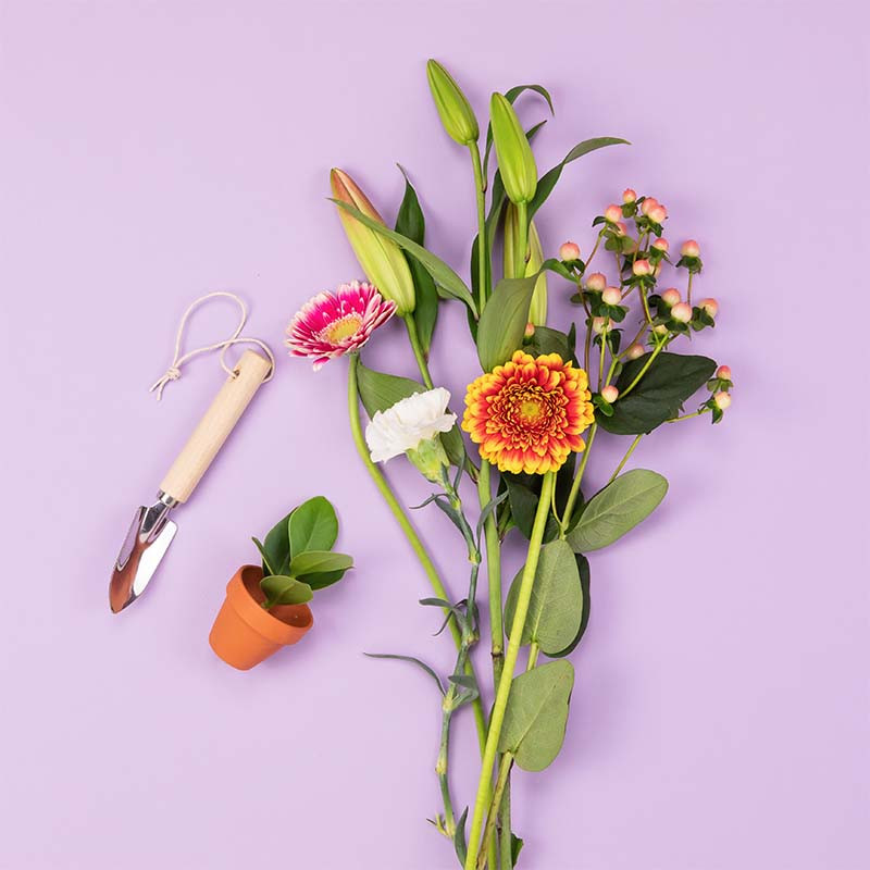 Bloemen & planten