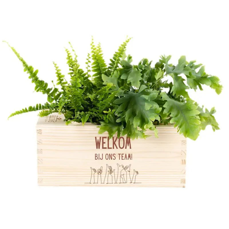 Bloomsbox welkom