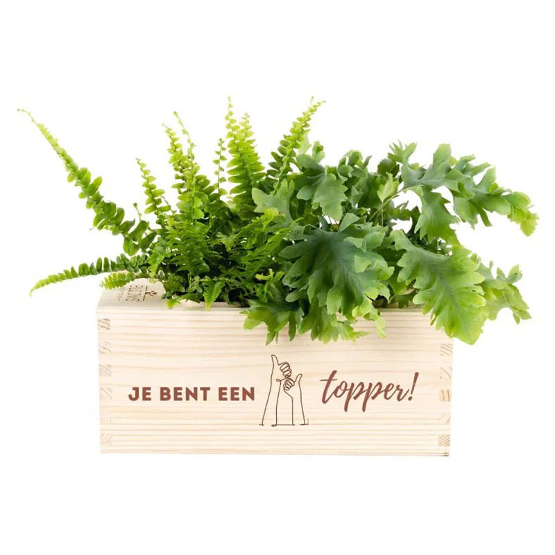 Bloomsbox je bent een topper