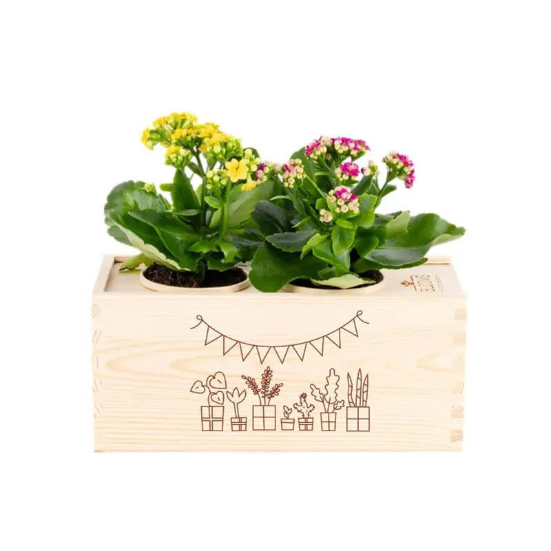 Bloomsbox gefeliciteerd