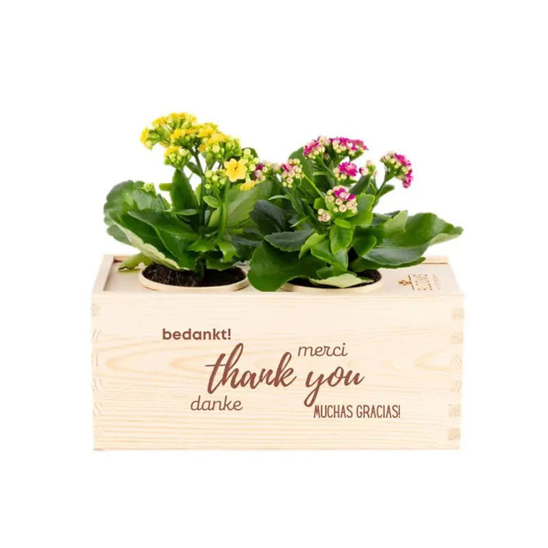 Joy of nature out of the Box - Medium - Bedankt