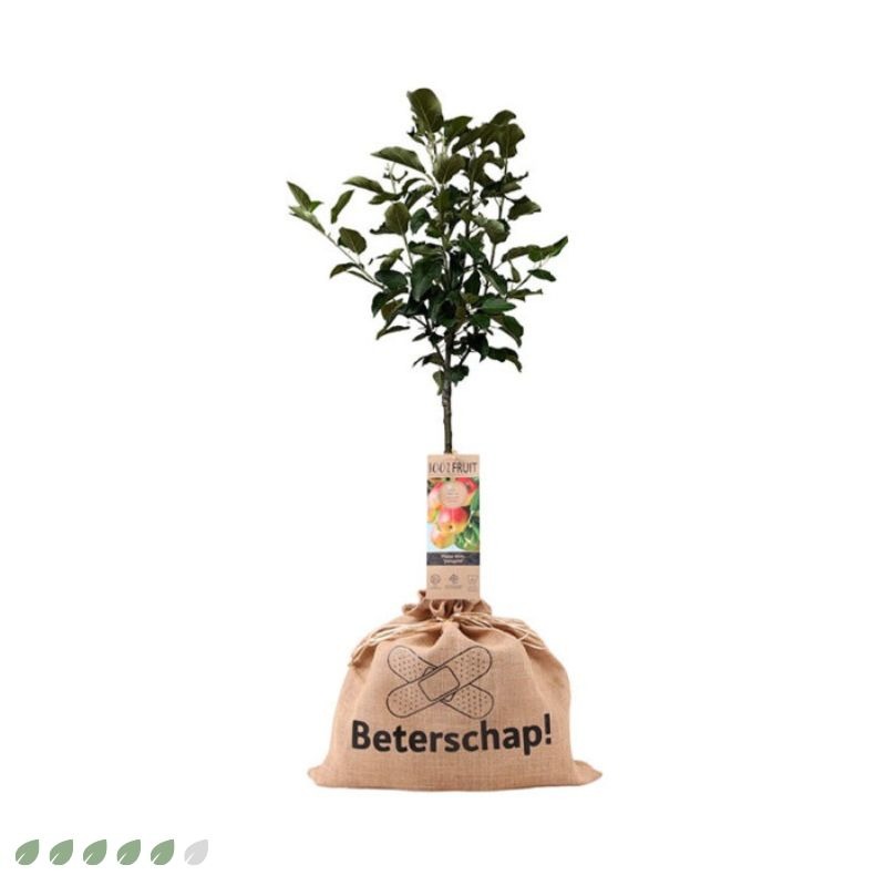 Groeiend gebaar
