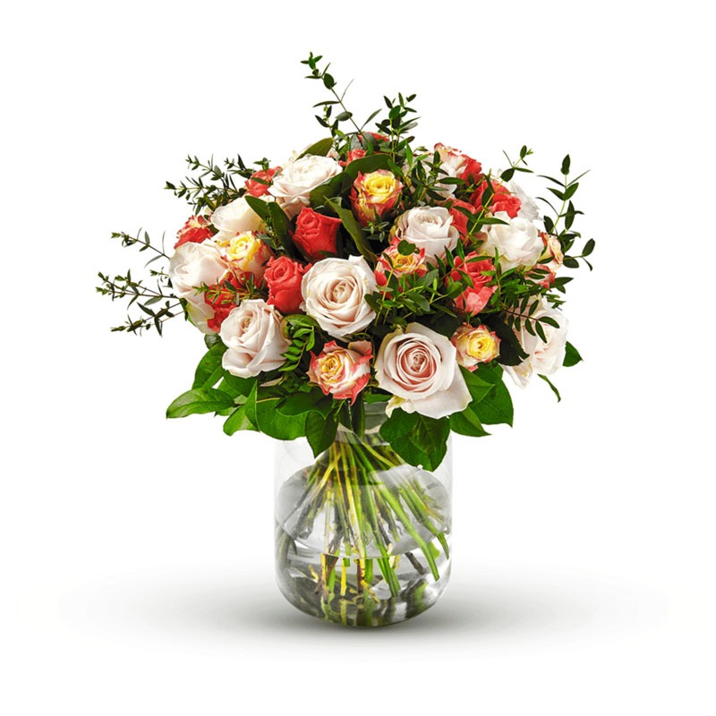 Rosa Romance