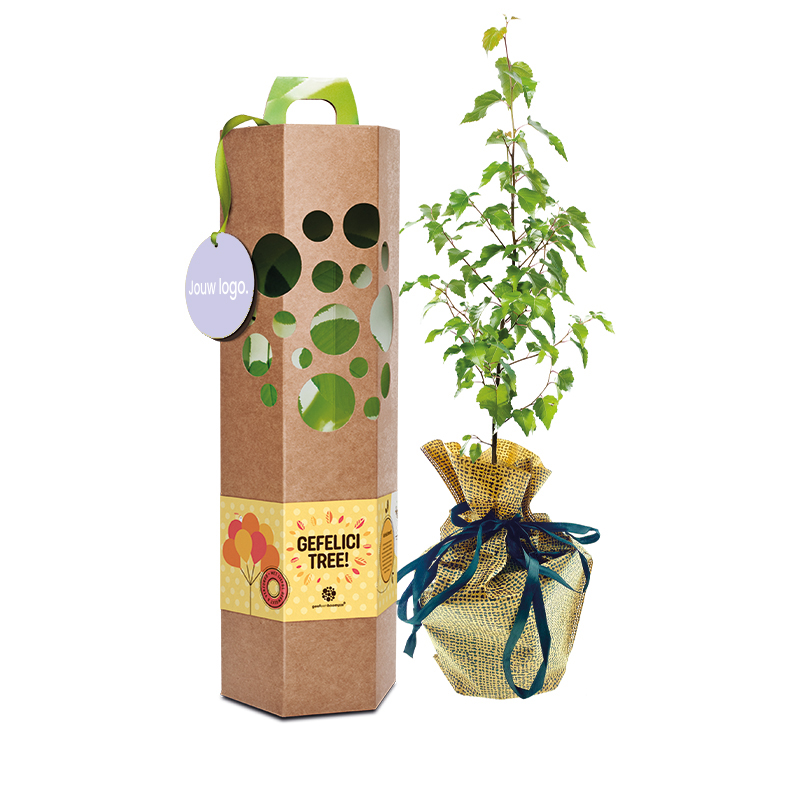 Gefeliciteerd boompje