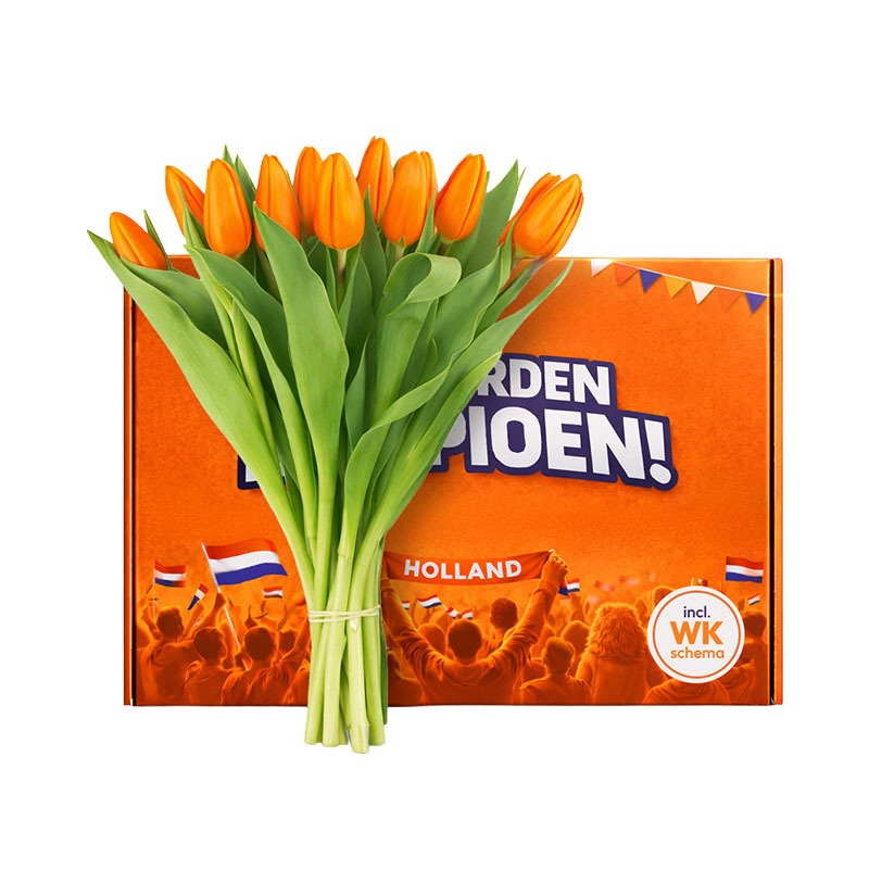 oranje tulpenpakket met cadeaubox