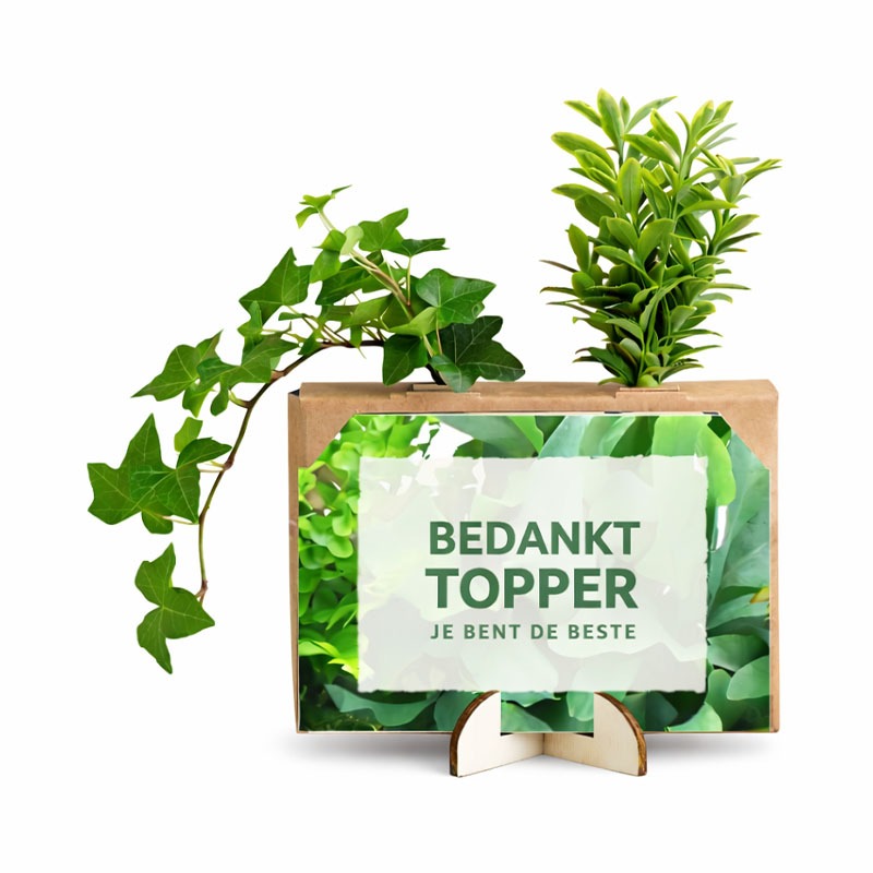 Nature out of the Box | Mini