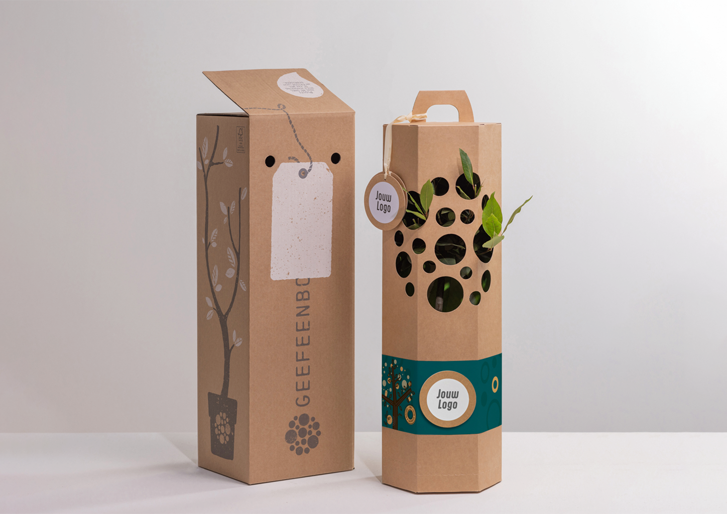 Geef een boompje duurzaam cadeau